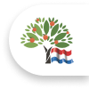 arbol